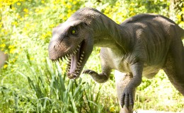 dinosaur